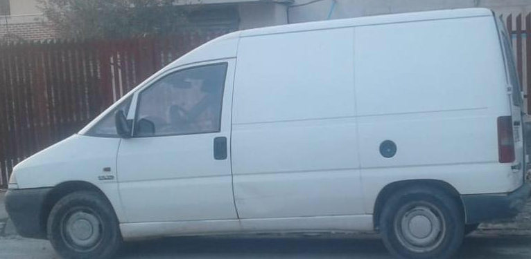 LAJM I FUNDIT/Vidhnin bagëtitë, arrestohen 3 persona në Kamëz