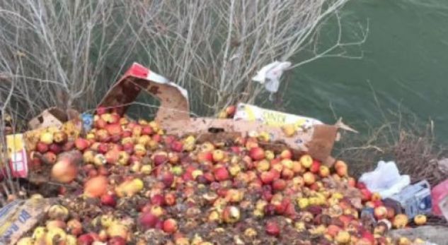 FOTO/Berisha nxjerr pamjet: Si hidhet në lumë i gjithë prodhimi i fermerëve të Devollit