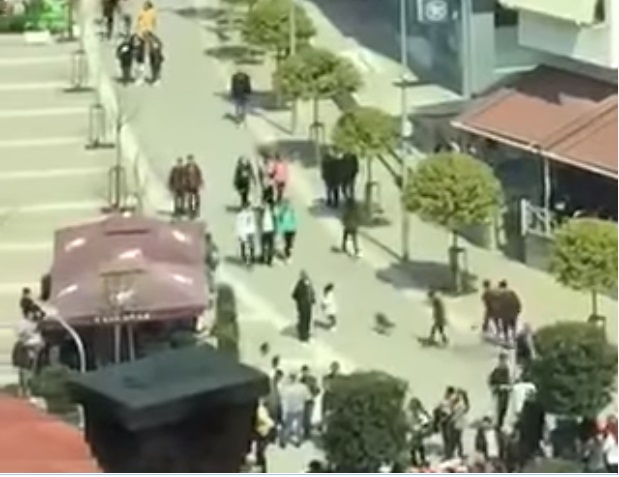 VIDEO/ “Antimitingu i Ramës në Librazhd mbyll dyert e shkollave”