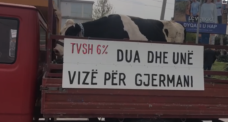 VIDEO/Fermerët kanë një thirrje për ministrinë e Bujqësisë: Na keni në Tiranë së shpejti