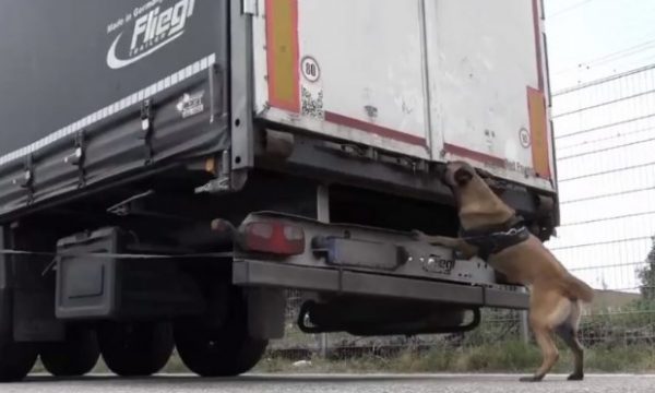 “Mos i harxhoni paratë, do ju kthejmë mbrapsht!” Holanda me mesazh të fortë për emigrantët shqiptarë