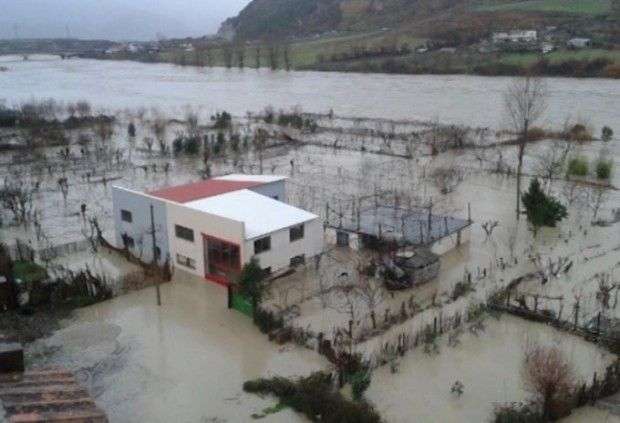 Përmbytje në Fier, rreshjet e dendura të shiut përmbysin 15 hektarë tokë