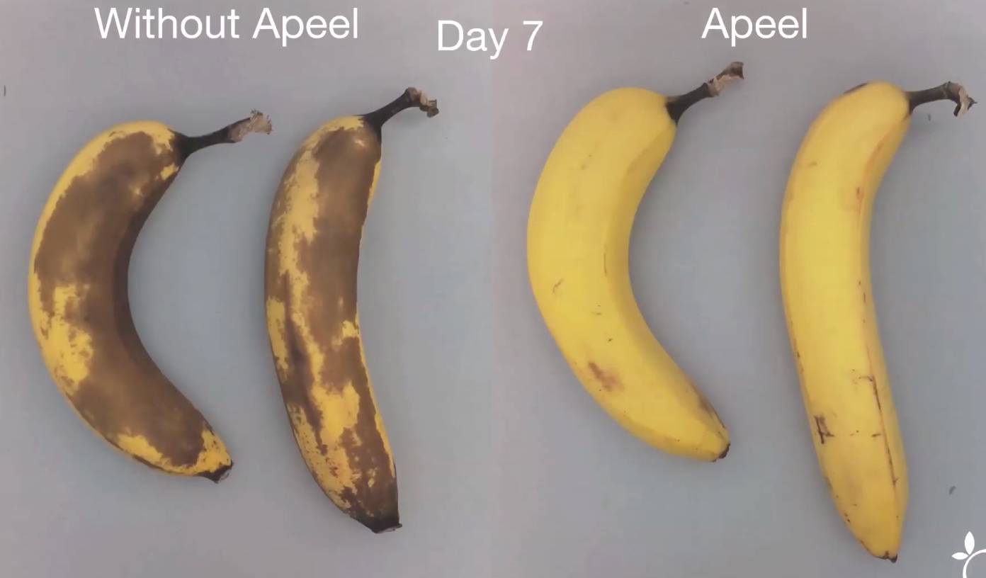 Spray që po cudit Amerikën, mori leje tregtimi edhe në Evropë