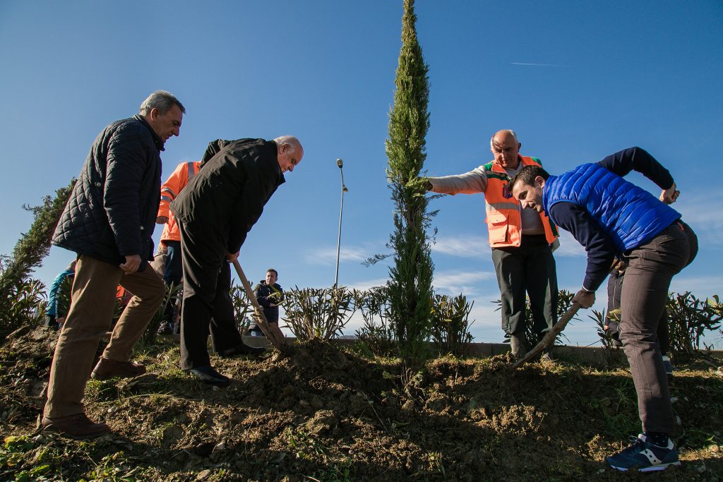 Mbi 5500 euro për një pishë: Kontrata e Bashkisë së Tiranës nën hetim nga Prokuroria