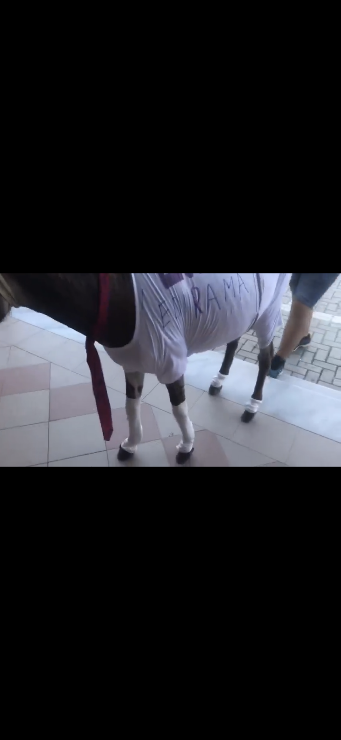 VIDEO/ Ja cili votoi sot ne nje qender votimi, askush nuk e ndali dhe ishte i qarte