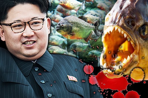 Kim Jong-Un ekzekuton gjeneralin duke e hedhur në akuariumin e mbushur me piranja