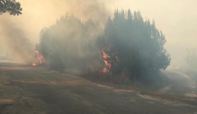 Divjakë/ Zjarr i fuqishëm afër  …
