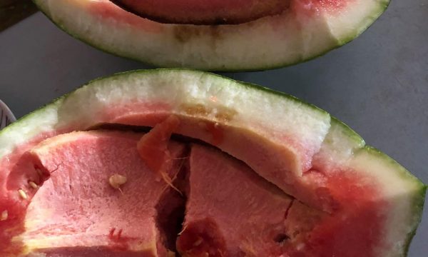 FOTO/Ja çfarë hamë, gazetarja ngre alarmin: A ka kontroll në këtë vend?