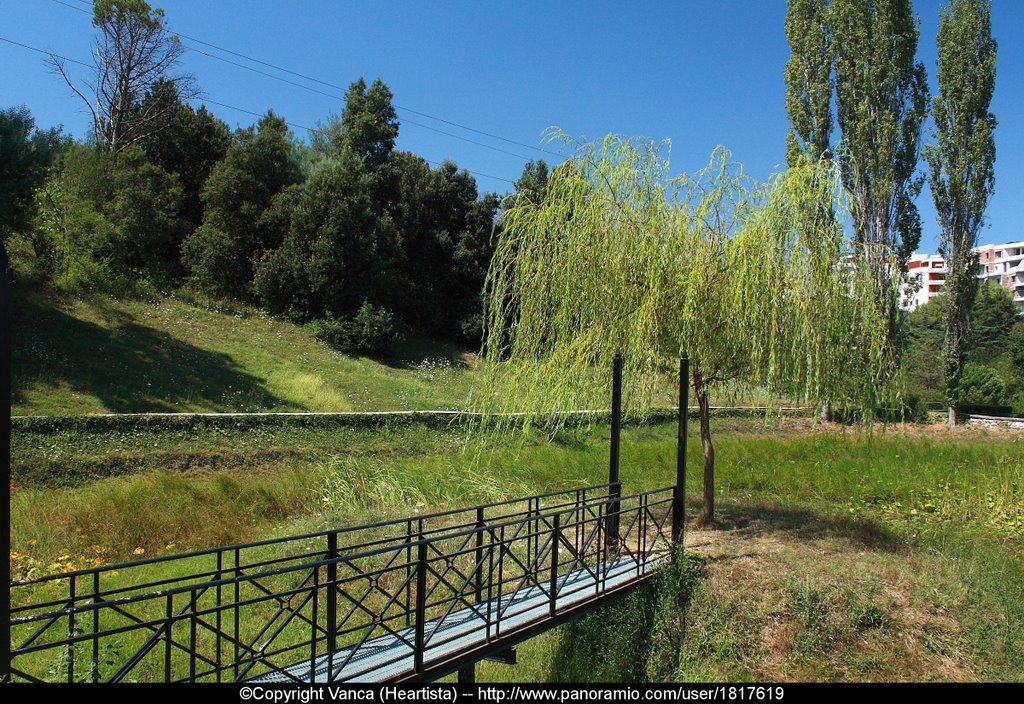 Veliaj kërkon të ‘gllabërojë’ edhe Kopshtin Botanik, reagon ashpër Fakulteti i Shkencave të Natyrës
