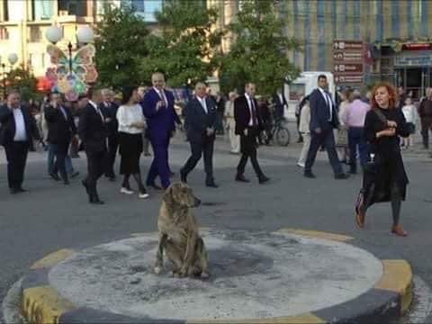 FOTO/Paloka- Ramës: Në 30 Qershor… Edhe qentë të kthyen shpinën…