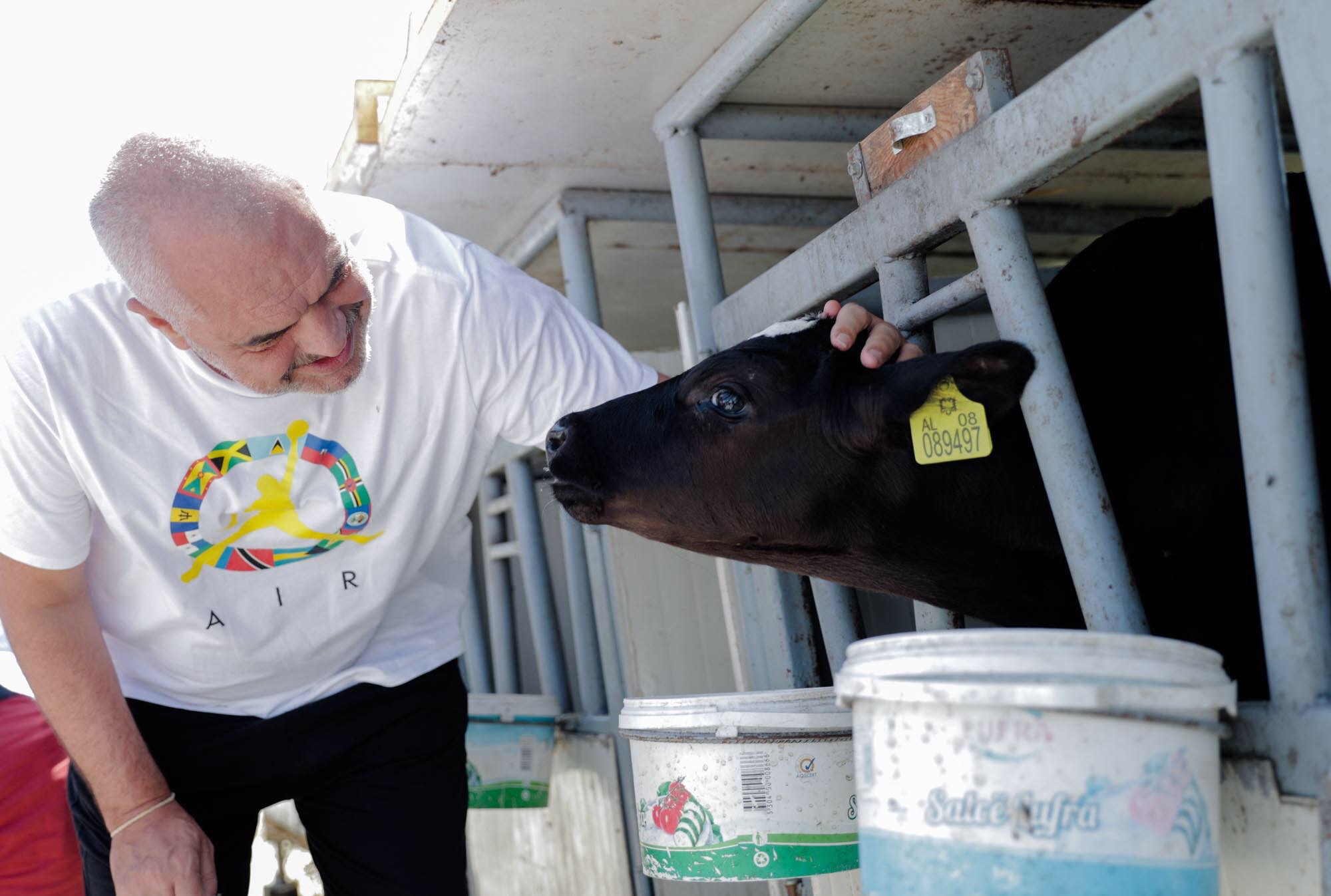 SHENIM/ Ju flas nga Gjykata e Durrësit: Mirësevini në Afrikë