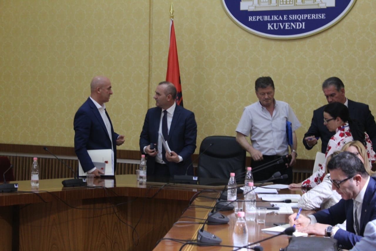 Komisioni për shkarkimin e Metës, habit Bashkim Fino