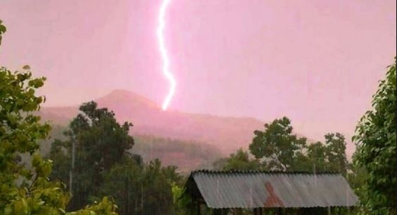 Klos/ Rrufeja godet tufën e bagëtive , vret 28 krerë dhi