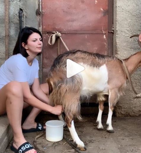 Moderatorja e dhënë pas punëve të fshatit, publikon videon: Nuk ka kënaqësi më të madhe