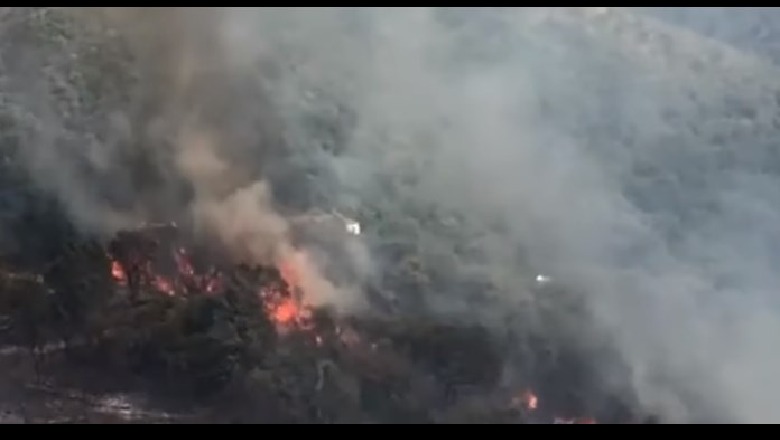 Delvinë/ Zjarre masive, digjen 8 banesa, rrezikohen 500 kokë bagëti