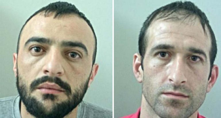 BRITANI/ Arrestohen dy shqiptarë  për kultivim kanabisi , zbuloni emrat