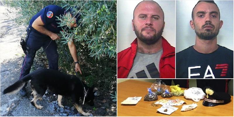 Pranga të rinjëve shqiptarë, kishin kthyer vilën në qendër të shitjes së lëndëve narkotike