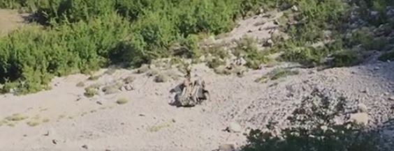 Aksidenti/Fuoristrada përfundon në humnerë, një i vdekur në Krujë