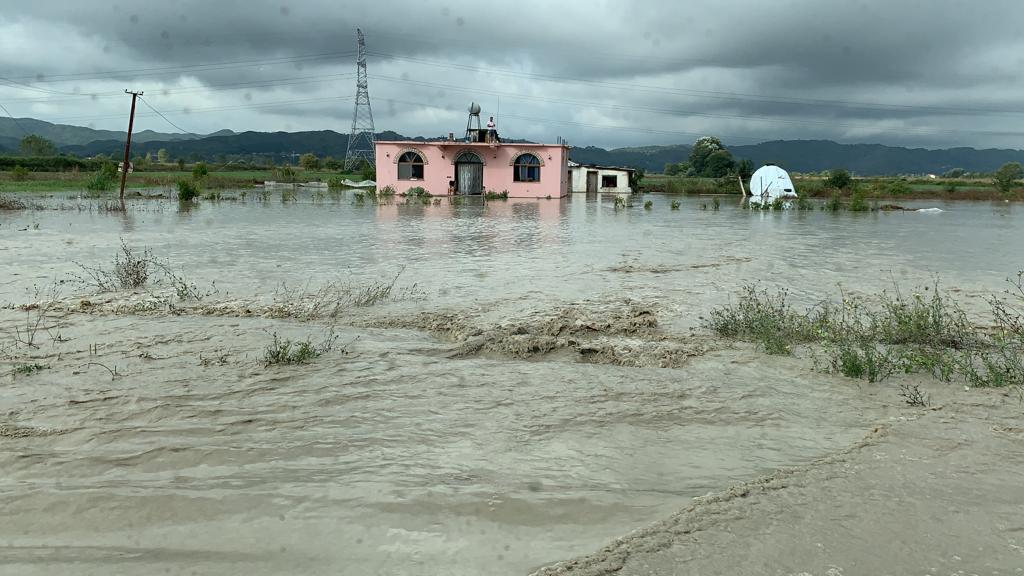 FOTO/Banorët e përmbytur në Fushë Krujë denoncojnë: Askush nuk na përgjigjet! Kërkojmë ndihmë