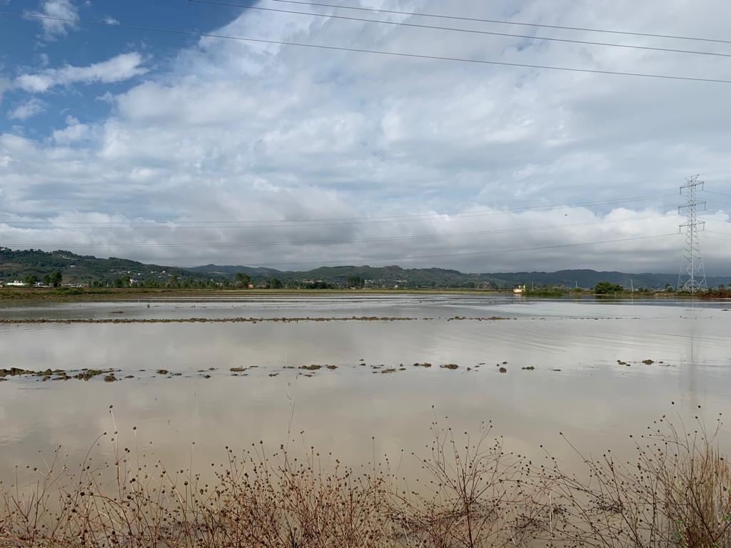 FOTO/Banorët e përmbytur në Fushë Krujë denoncojnë: Askush nuk na përgjigjet! Kërkojmë ndihmë