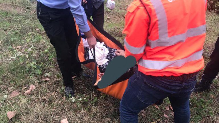 FOTO/Gruaja tenton të varë veten në pemë te liqeni artificial, policia ndërhyn në kohë