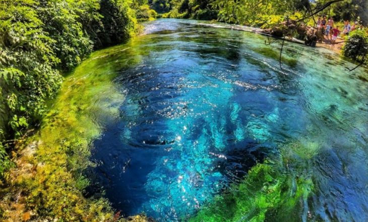 Anulonet dhenia me qera e Syrit te Kalter