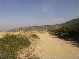 Ngjarje shokuese në Krujë, motrat me probleme mendore përdhunohen nga fshatarët, lindin disa fëmijë