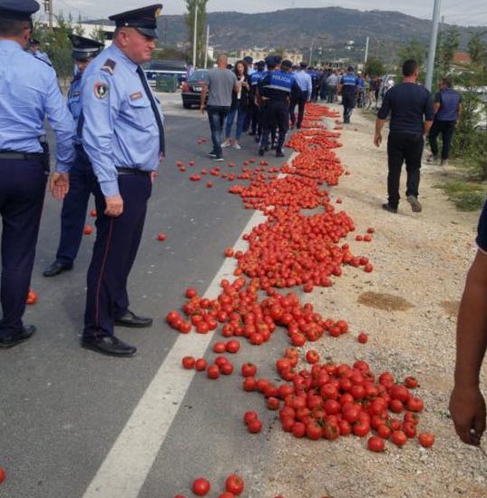 Fermerët në Lushnjë lëshojnë domatet rrugëve dhe dalin në protestë, ish-deputetja: Qeveria hesht dhe i injoron