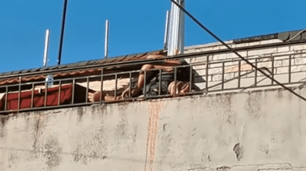 Ekzekutimi në Lushnje, gazetari tregon detaje: U qëllua nga afër, gjetën copa truri 20 metra larg