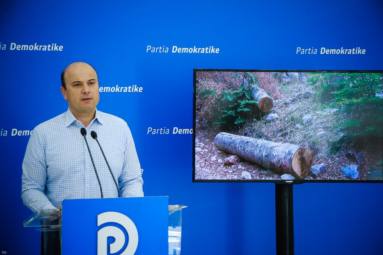 “Burgos fshatarët që marrin dy mushka dru”,Malltezi tregon situatën: Pyjet po shfarosen për qëllime tregtare në Librazhd