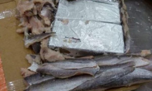 Me kokainë mes peshqve të ngrirë, Gjykata dënon disa persona, mes tyre dhe shqiptarin