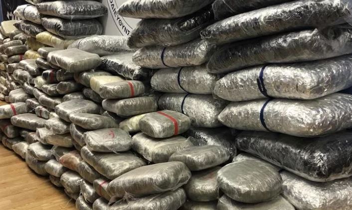 Kapet me 500 kile kanabis roja shqiptare i dy këngëtarëve të famshme greke