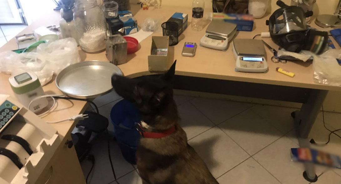 Dy banda droge edhe me shqiptarë kapen në Greqi