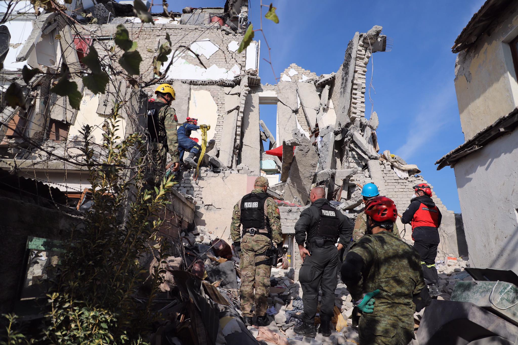 Humori i zi, batuta virale në whatsup për qeverinë dhe qentë e kërkimit