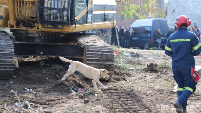 Humori i zi, batuta virale në whatsup për qeverinë dhe qentë e kërkimit