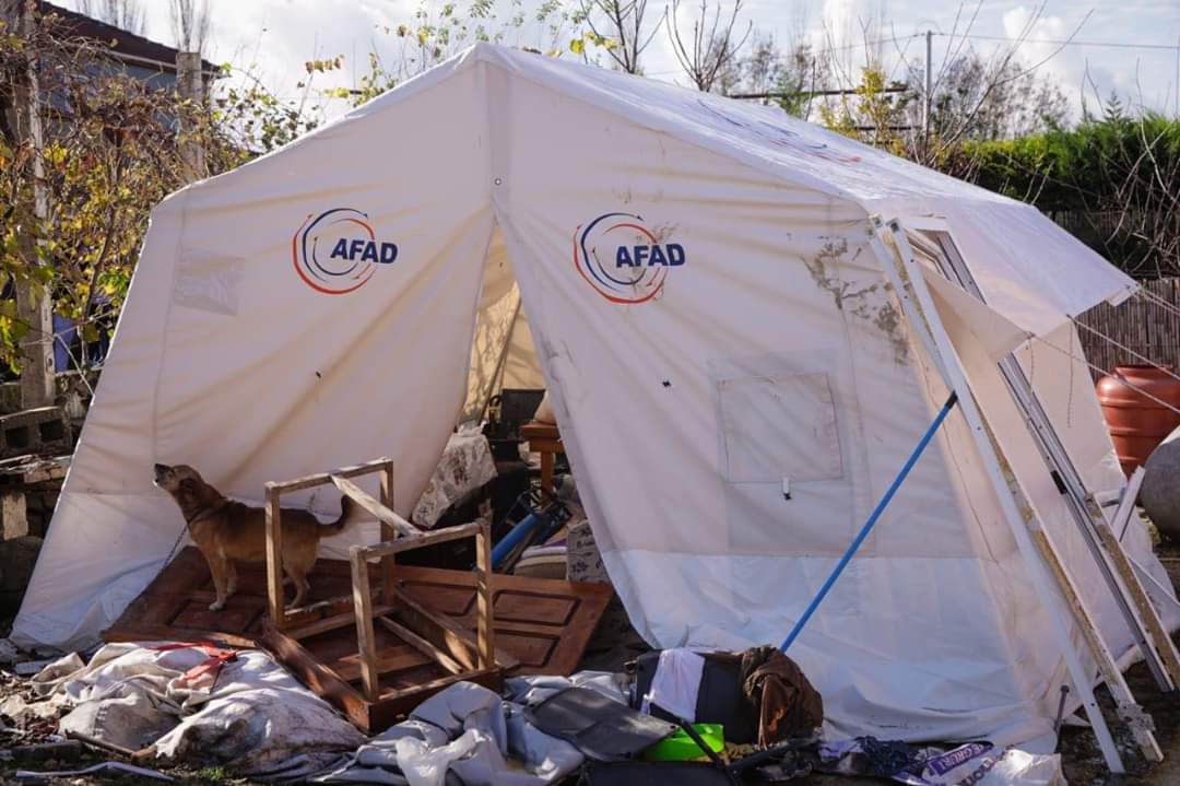 Basha: Kurbini eshte ne gjendje emergjence, askush nuk u ka derguar nje buke te vetme