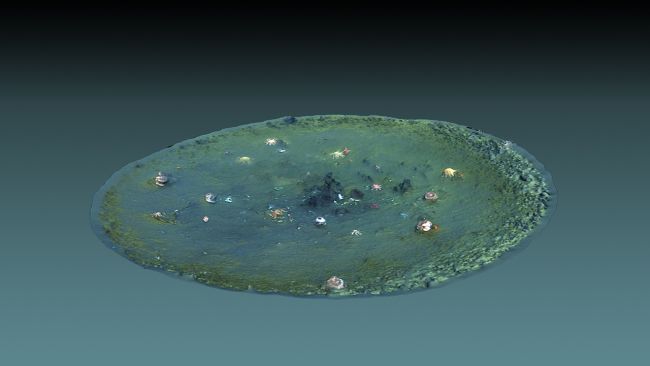 FOTO/Fenomeni që ekspertët nuk i japin dot shpjegim, mijëra vrima misterioze shfaqen në shtratin e oqeanit