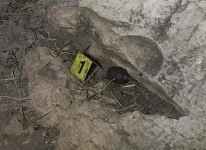 I hodhi granatë vjehrrit në oborr, fatmirësisht nuk i kishte hequr siguresën