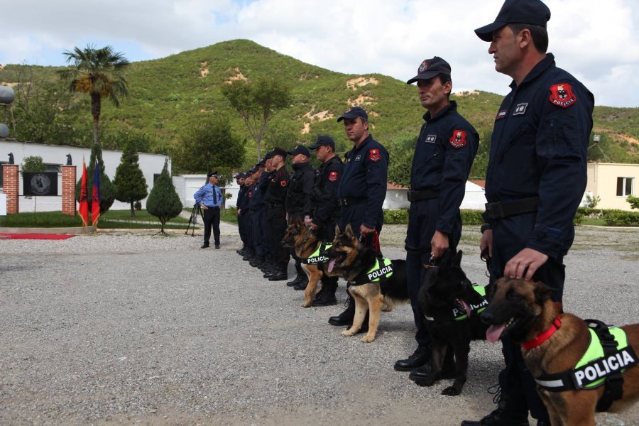 “Superskandal që kushtoi shumë jetë njerëzish”, denoncimi i oficerit: Afera korruptive e Veliut me qentë