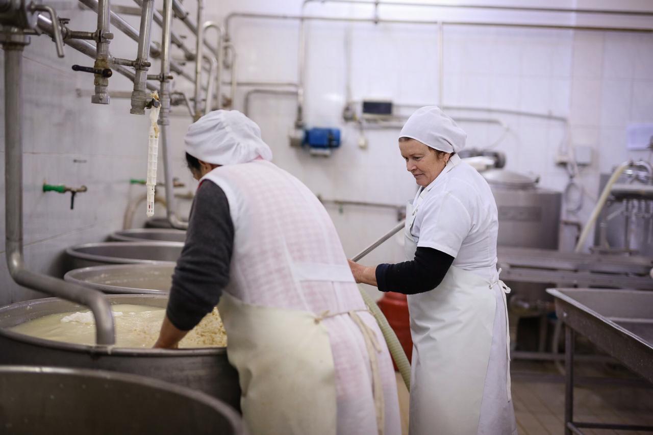 FOTO/5 masat kryesore që Basha i kërkon qeverisë të marrë për biznesin: Nuk kanë asnjë mbështetje pas tërmetit