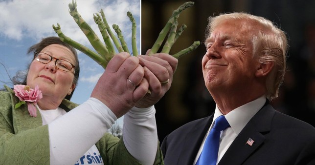 Fallxhorja me asparag parashikon: Do ketë fatkeqësi natyrore, viti i vështirë për presidentin Trump