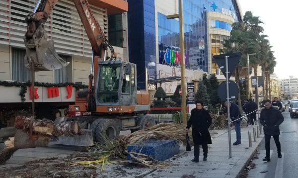 U plagosën dy qytetarë pas këputjes, priten palmat në Durrës