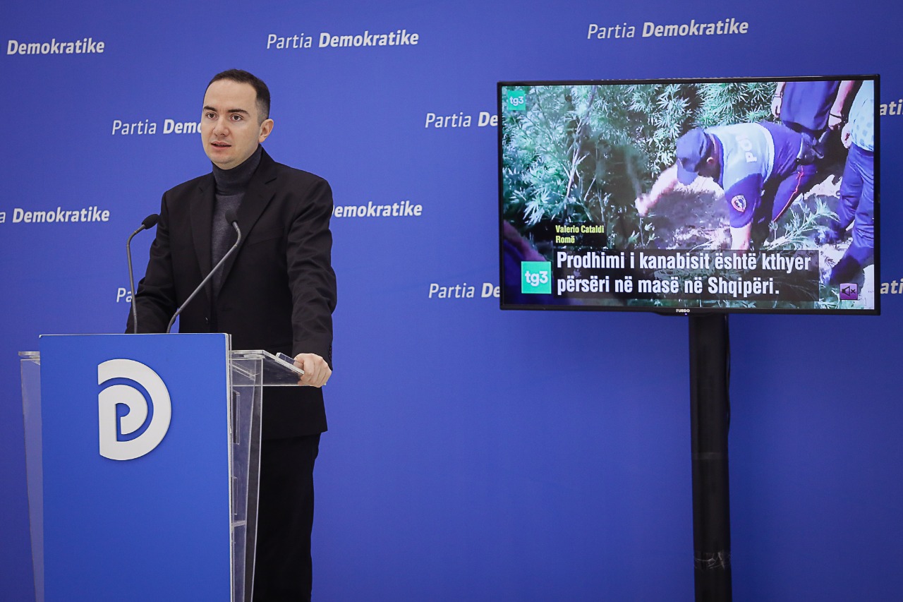 VIDEO/’Rritja me 1200 përqind e kanabisit’ PD: Rama mbrojtës i bosëve të krimit të organizuar