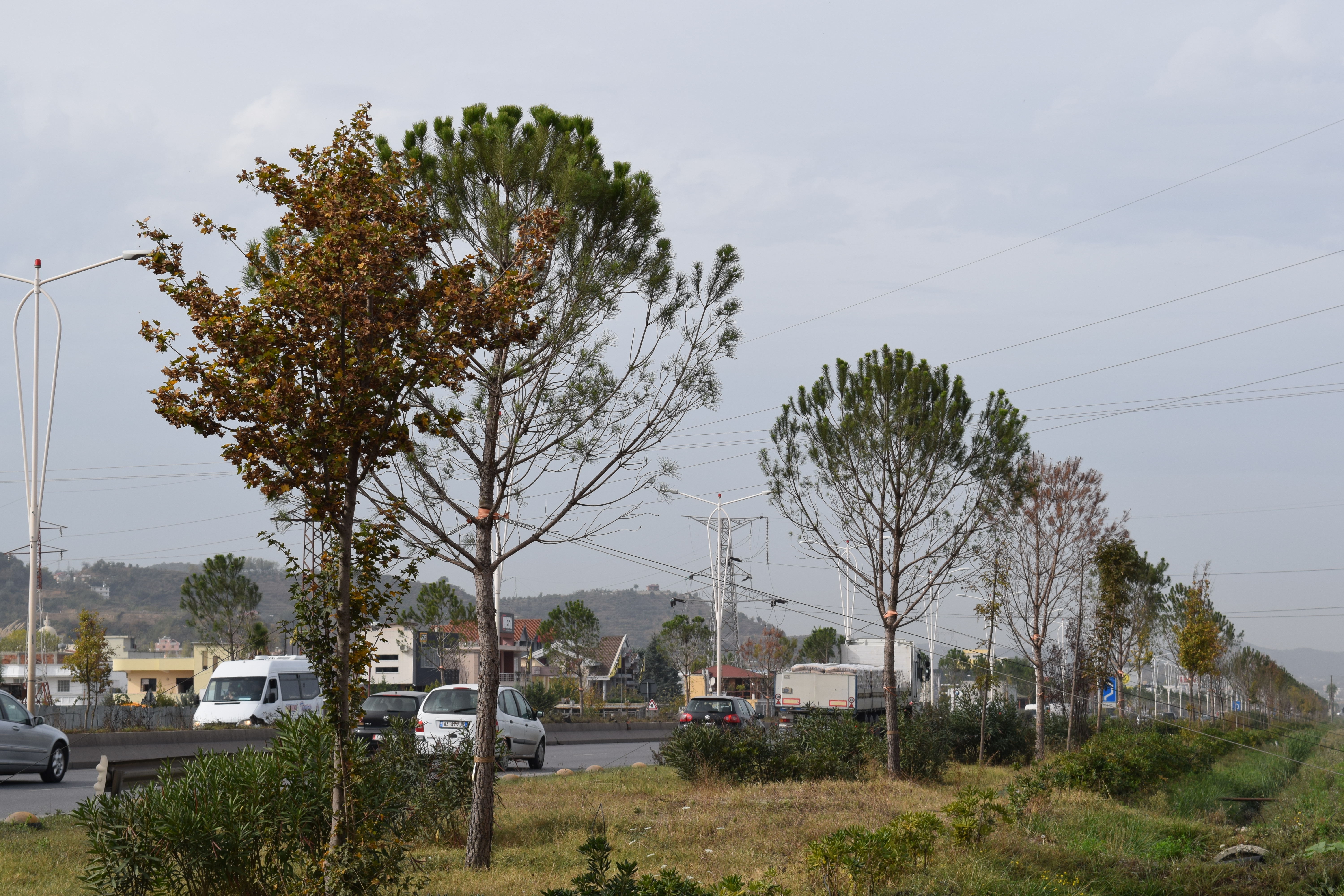 Vjedhja me pisha 8000 euro, Gjykata e Apelit fal Erion Veline