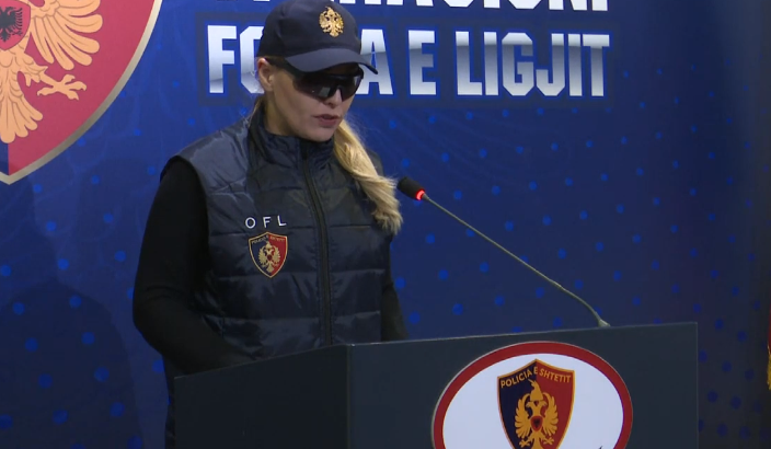 VIDEO/Dalin dy emrat, OFL kërkesë për deklarim pasurie Lulzim Berishës dhe Ardian Çapjas