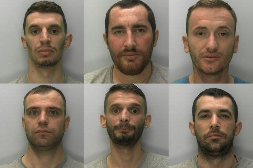 EMRAT/Drejtonin fabrikën e kanabisit në Britani, 6 shqiptarët përfundojnë në burg