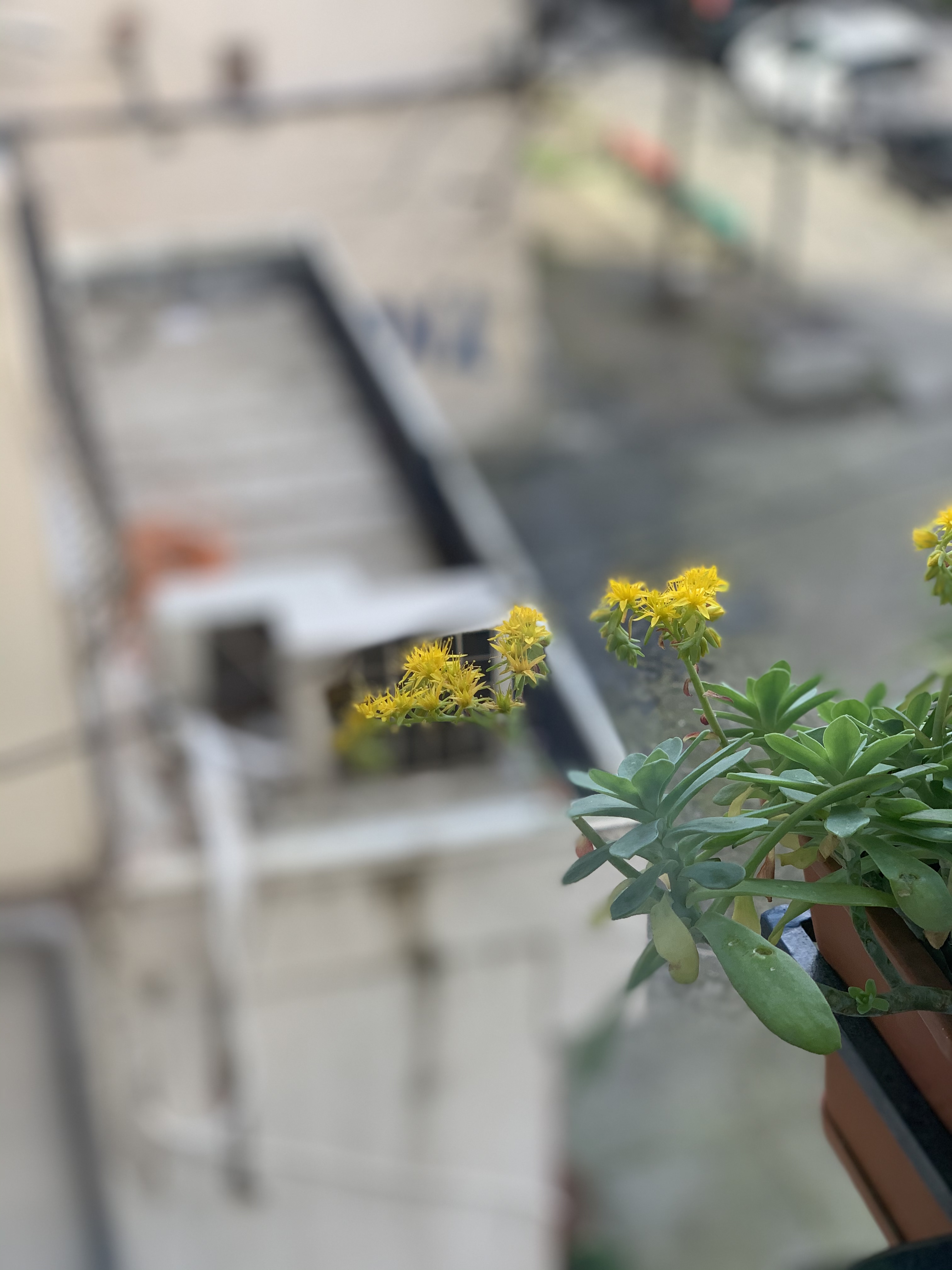 Propozimi i televizionit kombetar, duartrokitje nga dritaret per mjeket