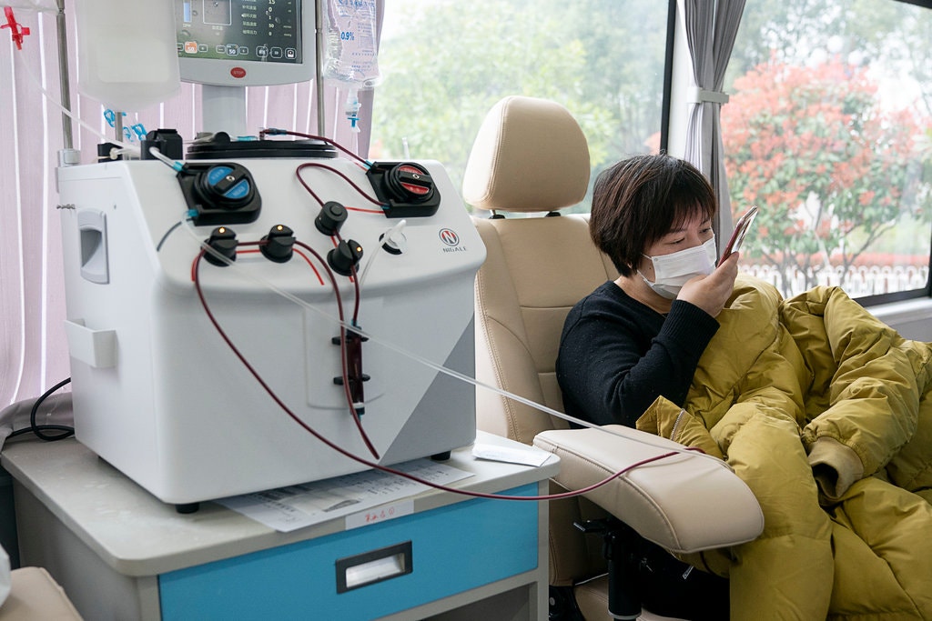 U mjekuan me gjakun e pacientëve të rikuperuar, 5 personat e parë tesohen negativ për Covid-19