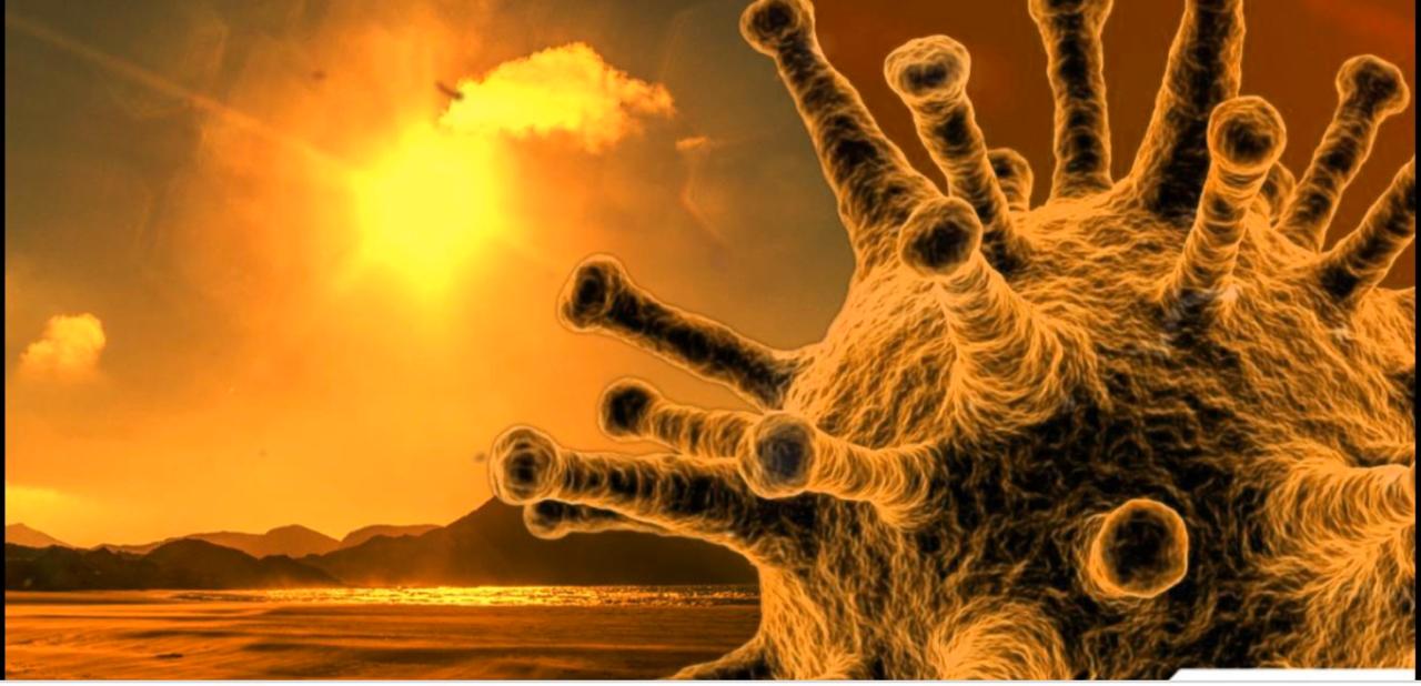 “Mos vazhdoni të gaboni”, Ish-deputeti: T’iu krijohet mundësia qytetarëve të përfitojnë nga ‘ilaçet’ që ndodhen në vendin tonë