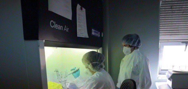 VIDEO/Ky është laboratori ku bëhen testimet për Covid-19 në Shqipëri